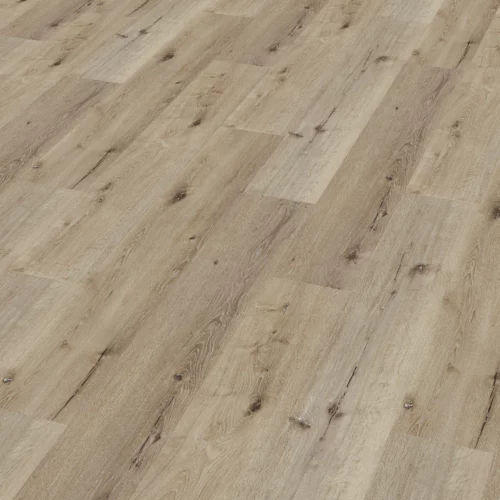 Enia Tambora (Oak Delight)