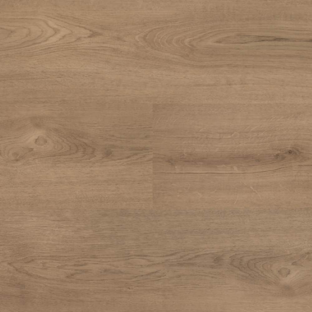 Hebeta Clermont XL Dryback