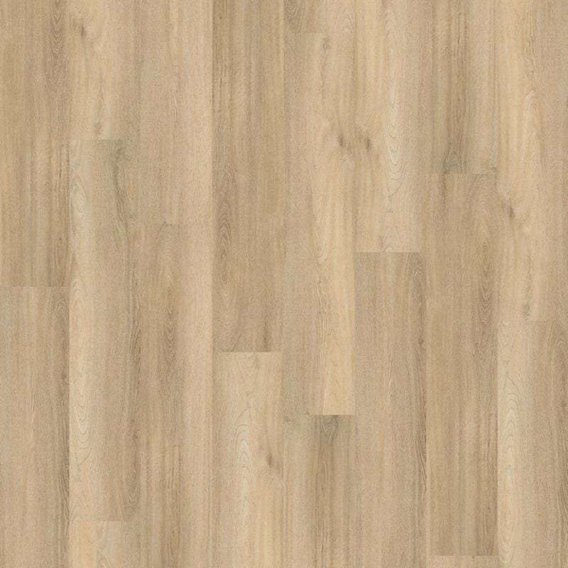 Ambiant Avanto Silent Rigid Click (Beige)