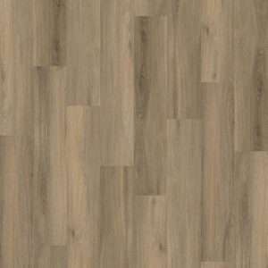 Ambiant Avanto Silent Rigid Click (Smoky)