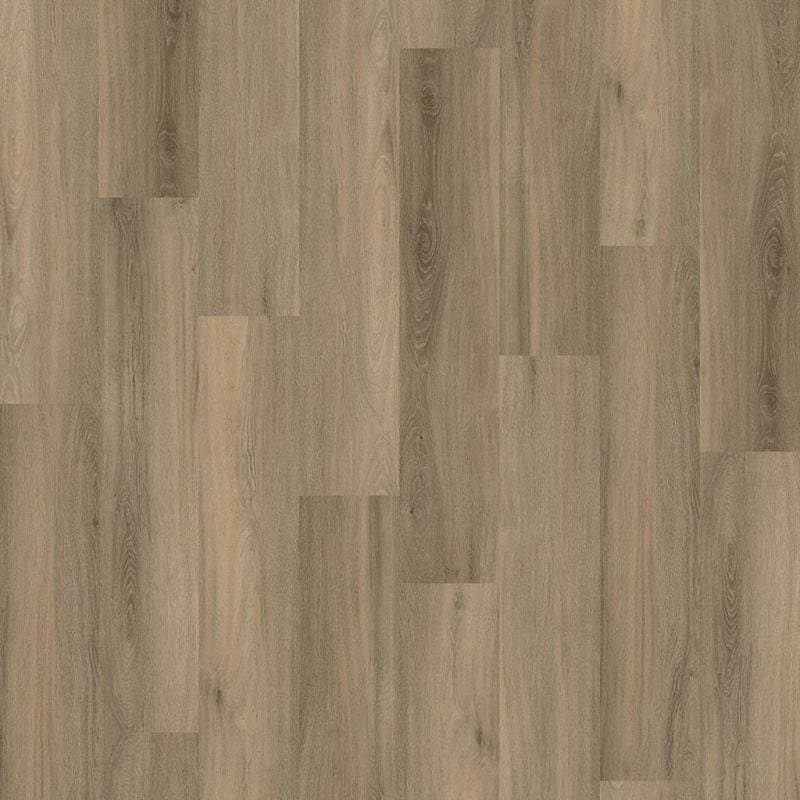Ambiant Avanto Silent Rigid Click (Smoky)