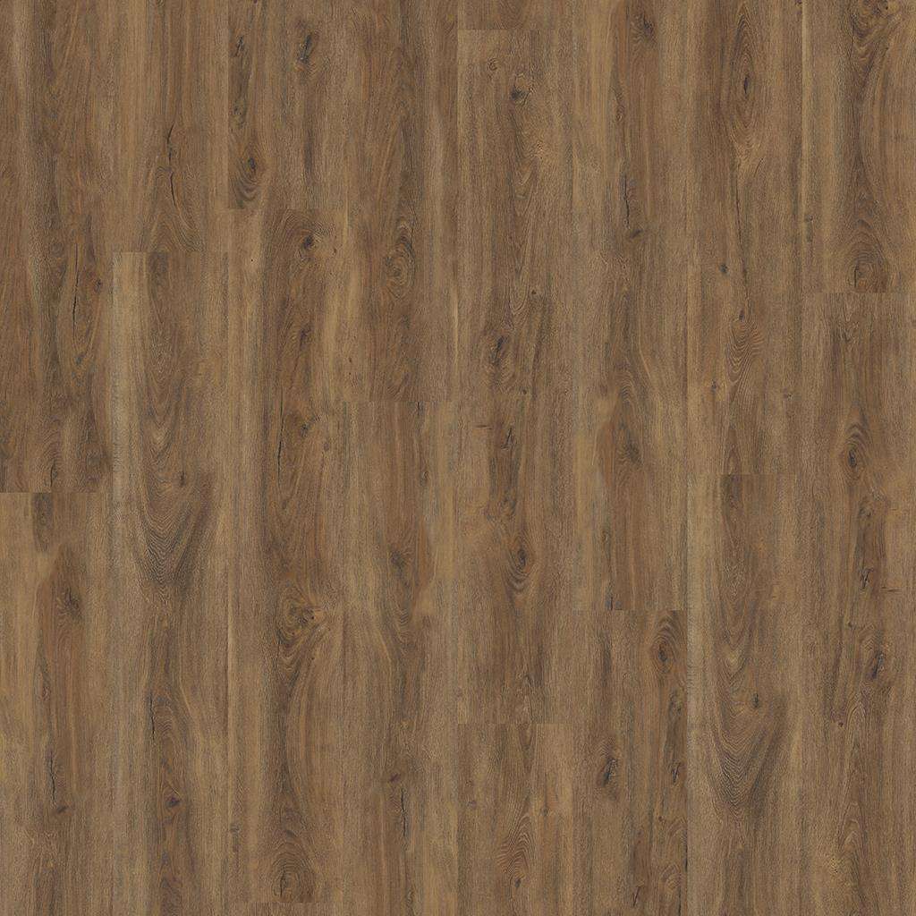Ambiant Robusto Silent Rigid Click (Warm Brown)