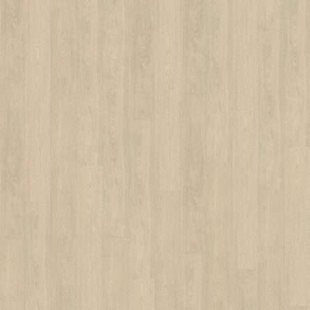 Belakos Terreno Rigid Click 620