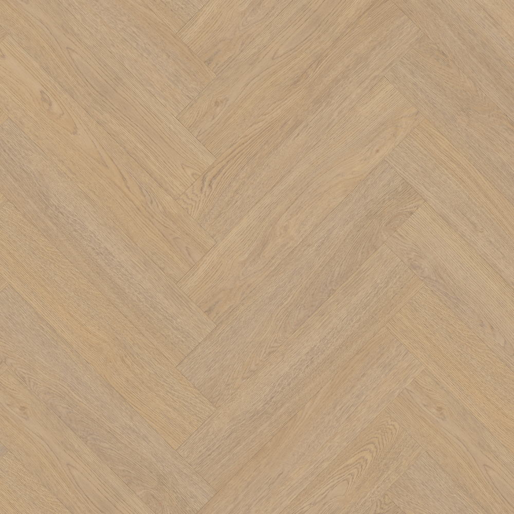 Belakos Terreno Visgraat XL Rigid Click 61