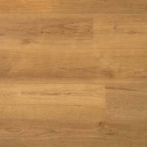 Douwes Dekker Ambitieus Riante Plank Verlijmd (Gemberkoek)