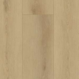Gelasta Firmfit (Sierra light)