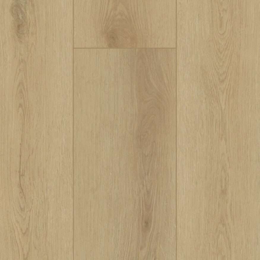 Gelasta Firmfit Silent Rigid Click (Sierra Light)