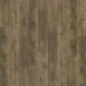 Gelasta Nevada Rigid Click (Valley Oak Smoked)