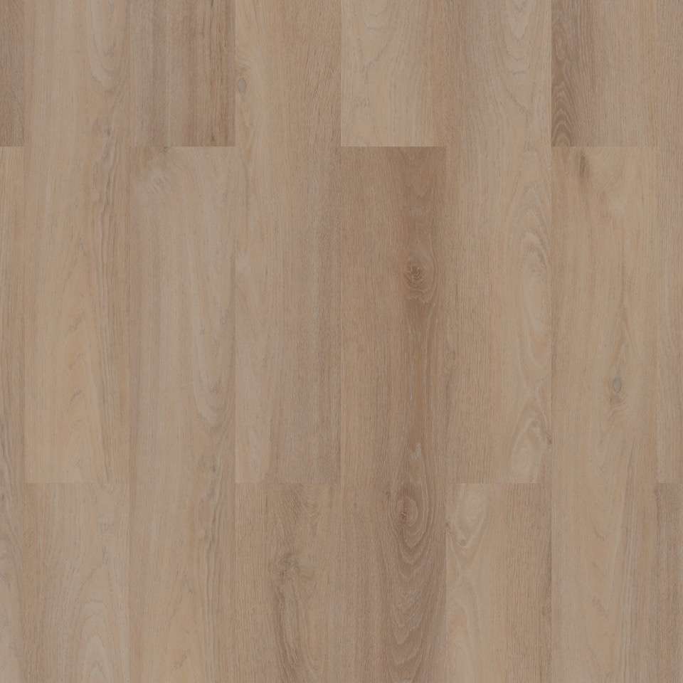 Room 5 Royal Champagne Silent Rigid Click