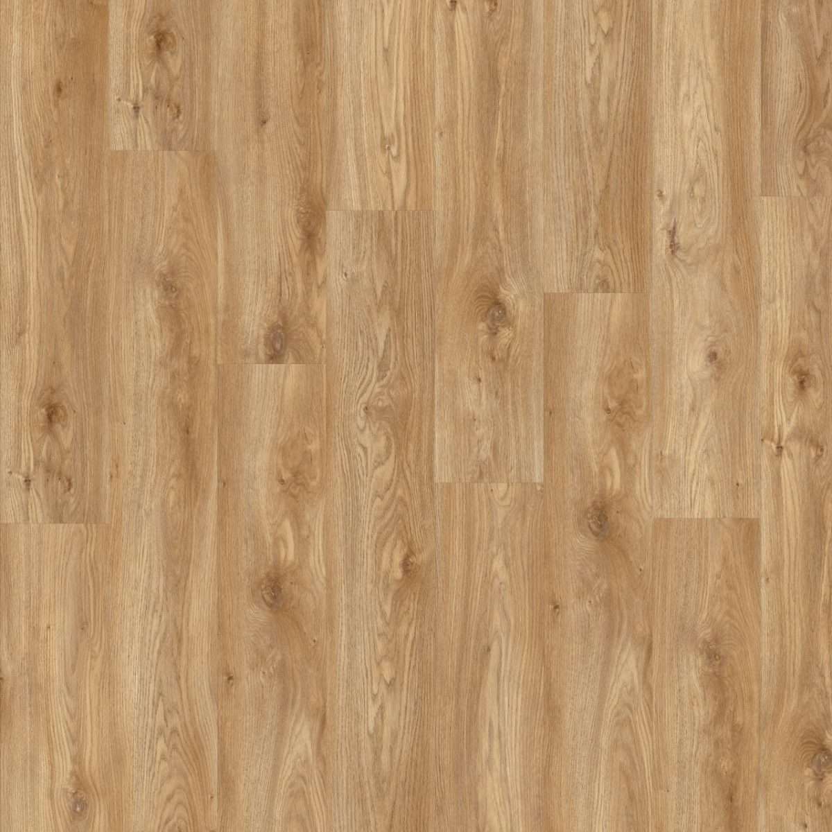 Moduleo Roots EIR Sierra Oak (58346)