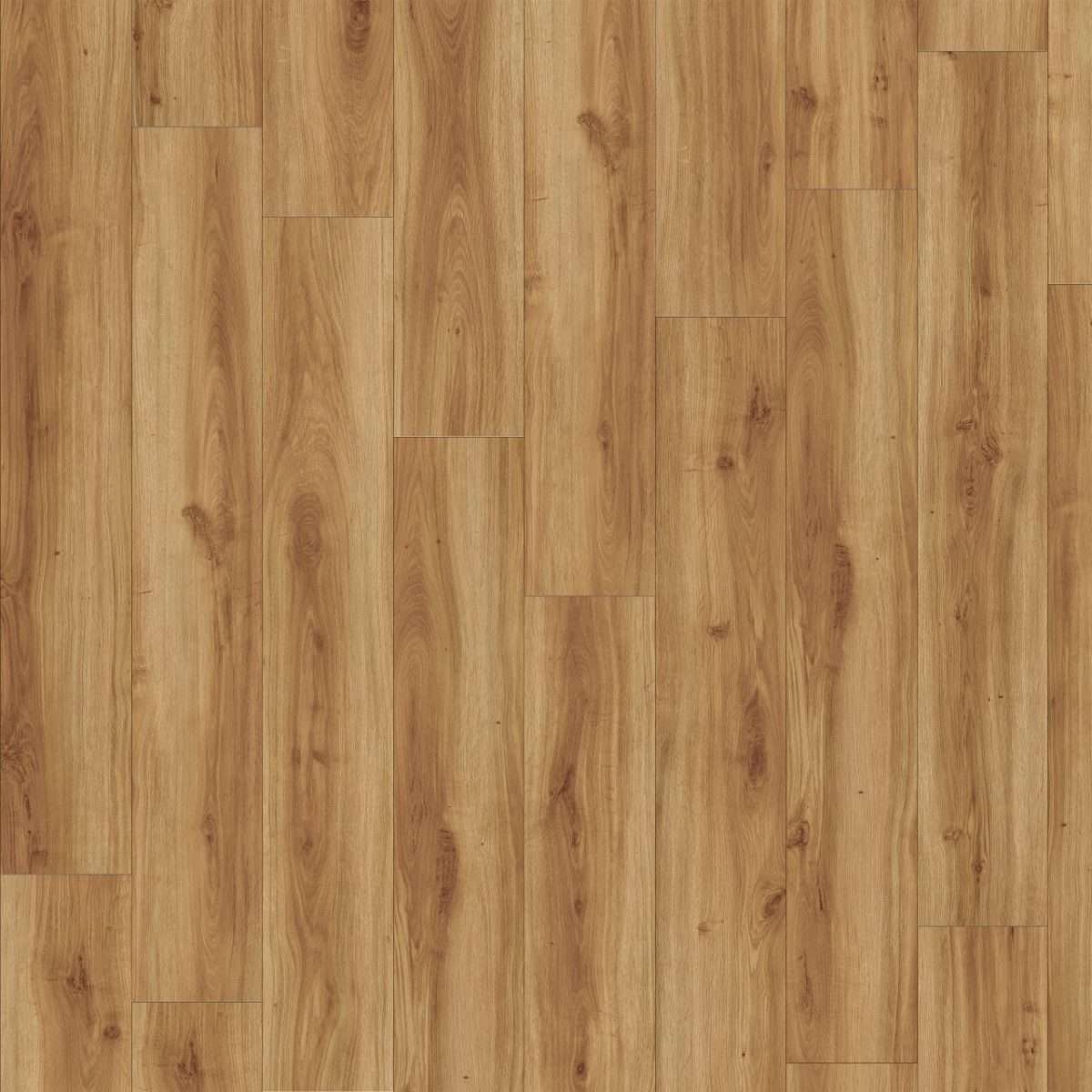 Moduleo Roots Country Oak (24842)