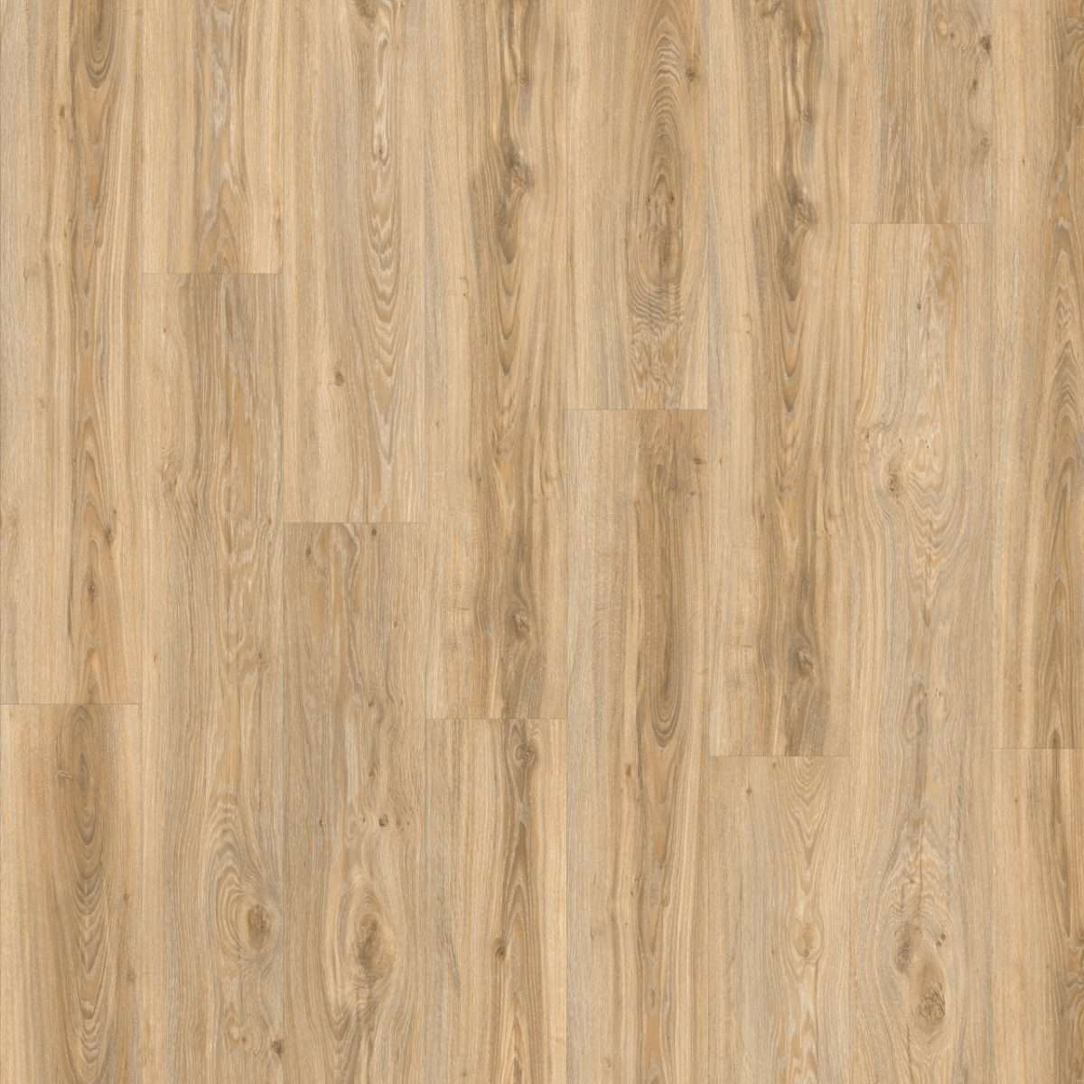 Moduleo Roots 55 Blackjack Oak (22220)