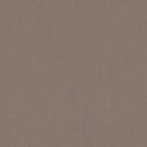 Priss Linoleum Planken Click