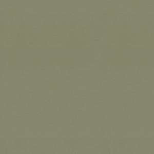 Priss Linoleum Planken Click