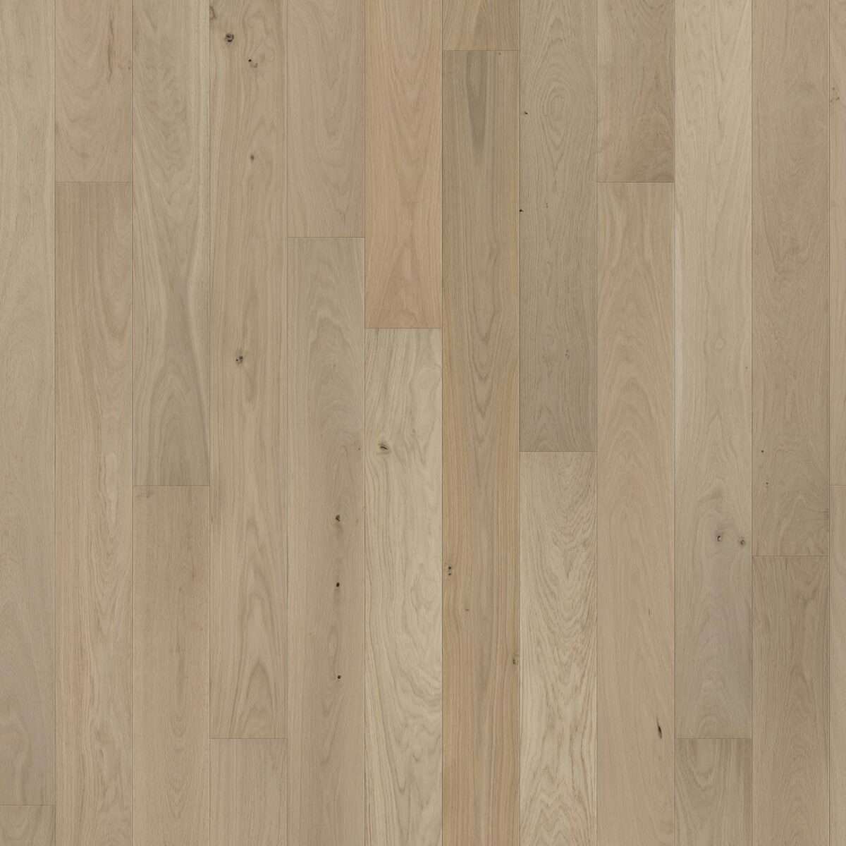 Solidfloor Specials Renopark Plank