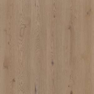 Therdex Authentic Dryback 15062