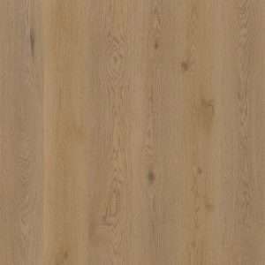 Therdex Authentic Dryback 15063