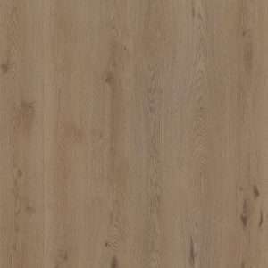 Therdex Authentic Dryback 15064