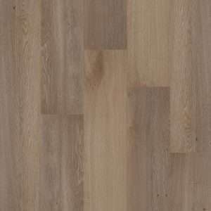 Therdex Premium Dryback 70050