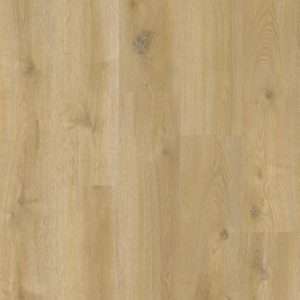 Therdex Original Dryback 15042