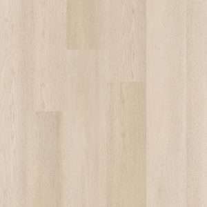 Therdex Premier Rigid Click C15081