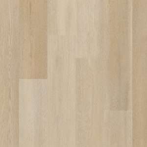 Therdex Premier Rigid Click C15082