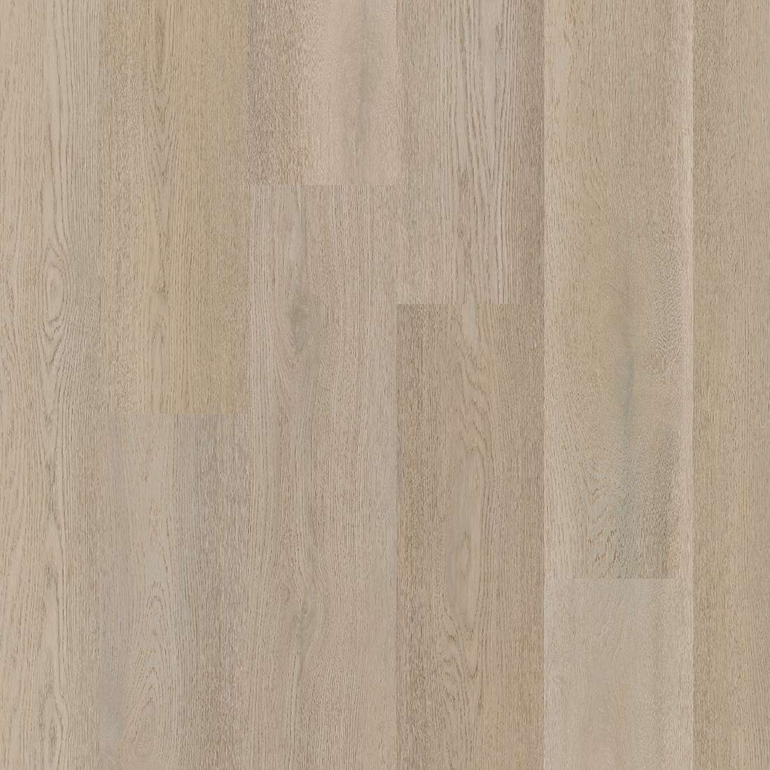 Therdex Premier Rigid Click C15083