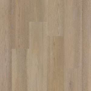 Therdex Premier Rigid Click C15084