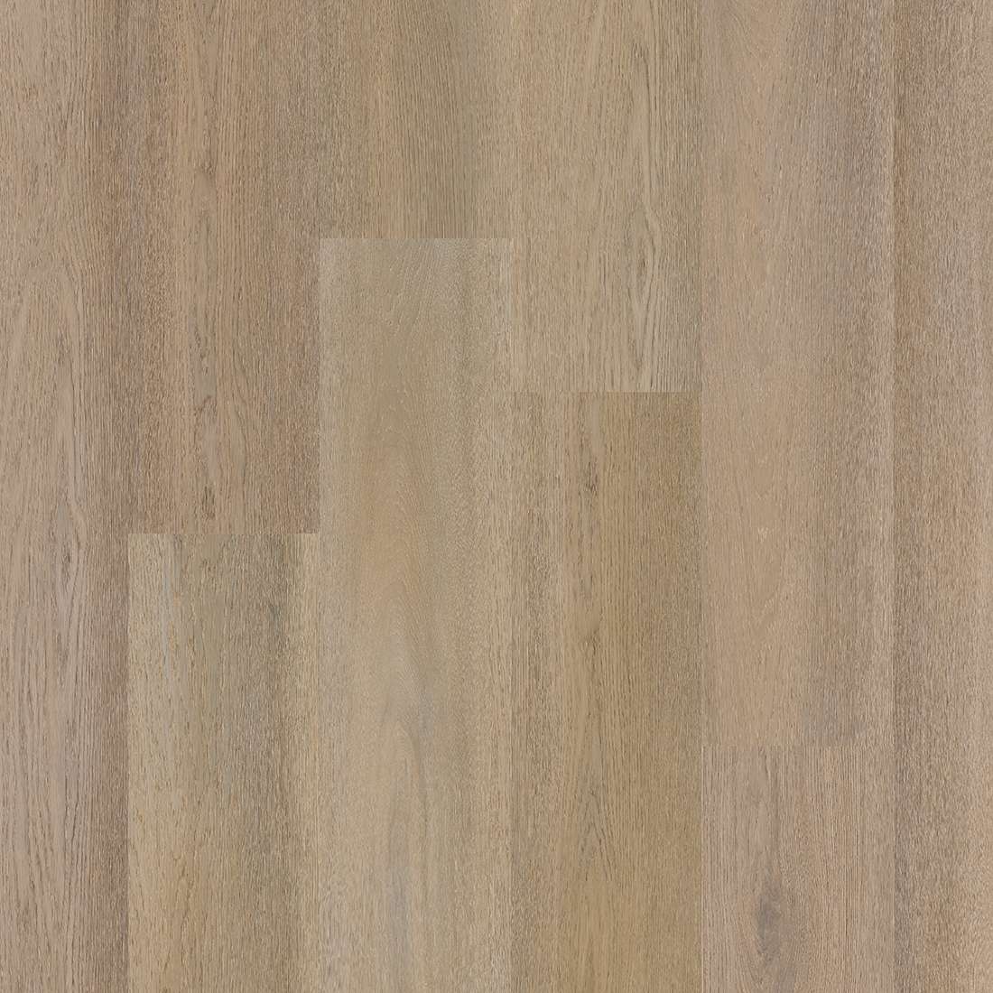 Therdex Premier Rigid Click C15084
