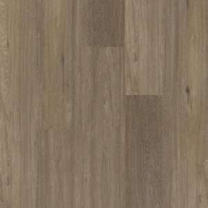 Therdex Regular Dryback 3040