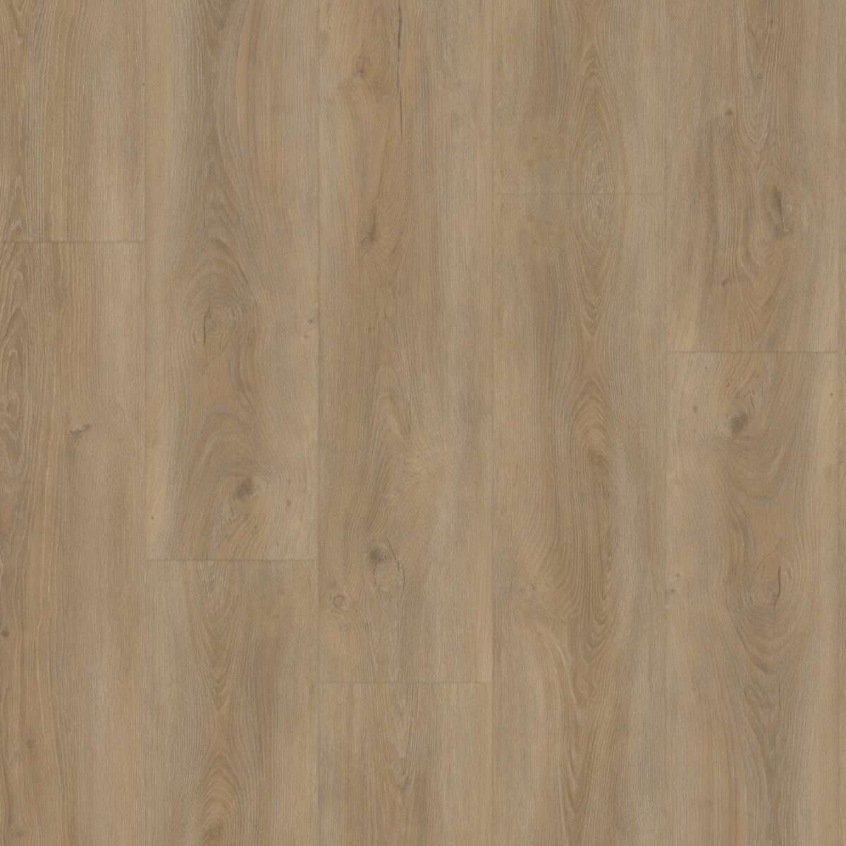 Therdex Rustique Rigid Click C15073