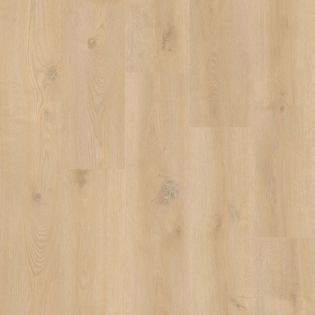 Therdex Xstralong Dryback 18090