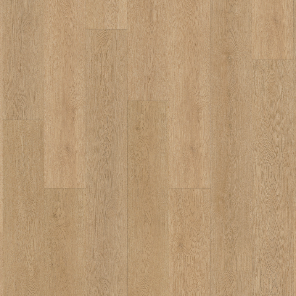 Belakos Monastro Rigid Click 930
