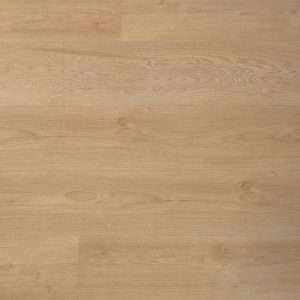 Douwes Dekker Ambitieus Riante Plank Verlijmd (Boterkoek)