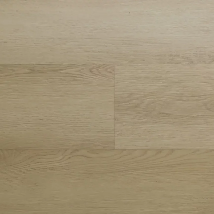 Montinique Clermont XL Dryback