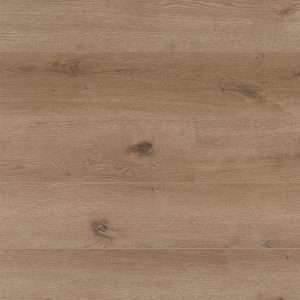CoreTec Proplus Wood