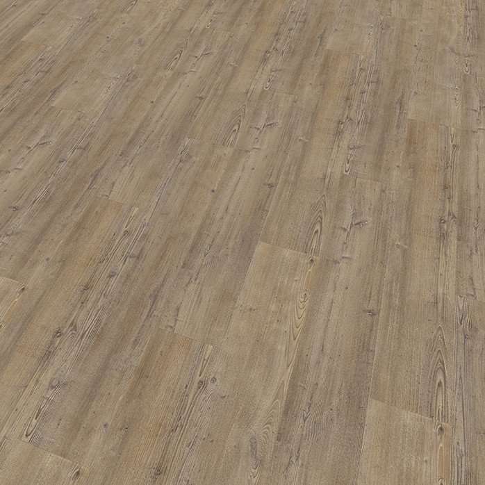 Mflor Argyll Fir