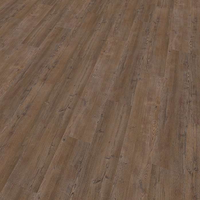 Mflor Argyll Fir