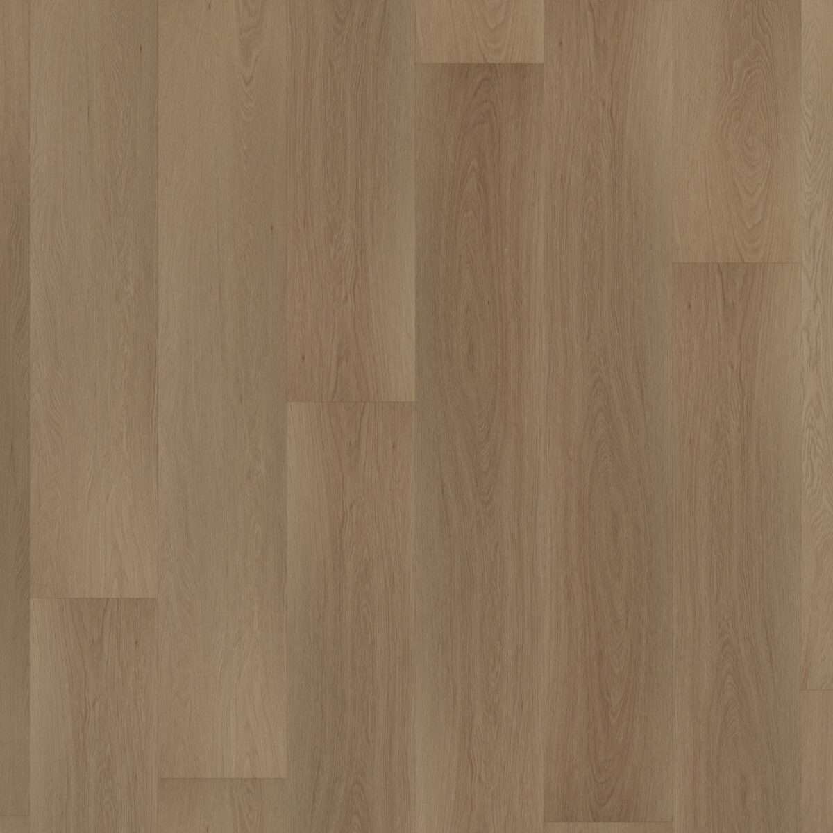 Room 5 Regency Wood Silent Rigid Click