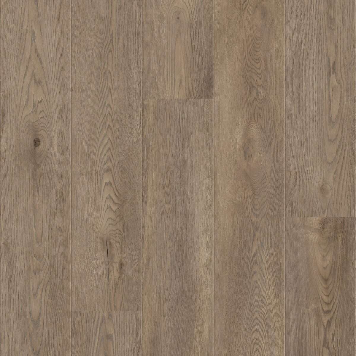 Coretec Authentics Woods