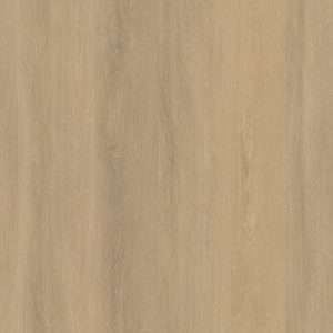 Ambiant Viranto Silent Rigid Click