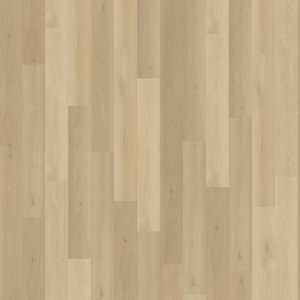 Belakos Borgo Dryback
