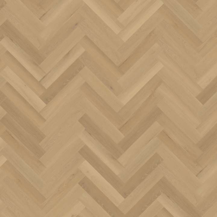 Belakos Borgo visgraat XL Dryback