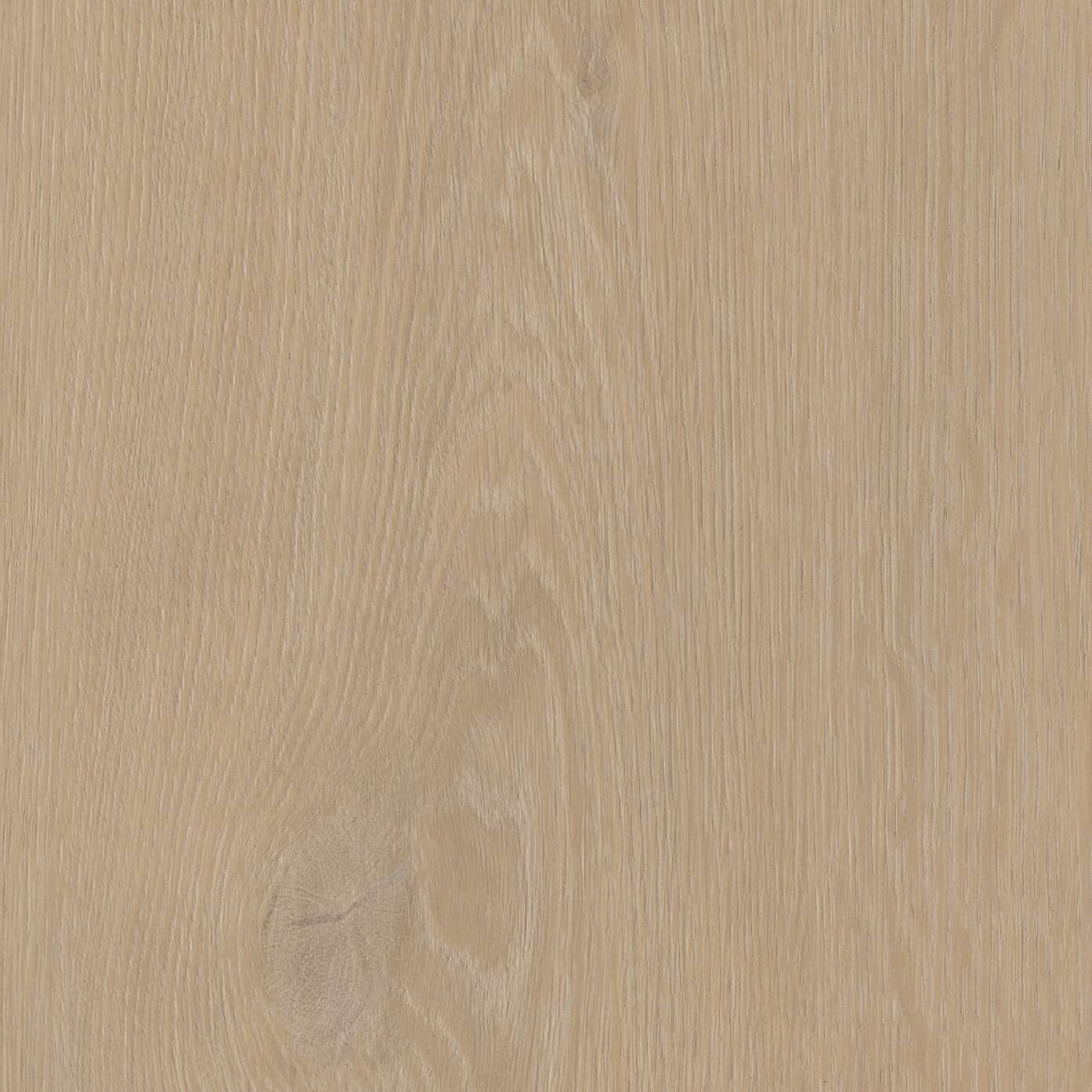 Belakos Cervo Silent Rigid Click