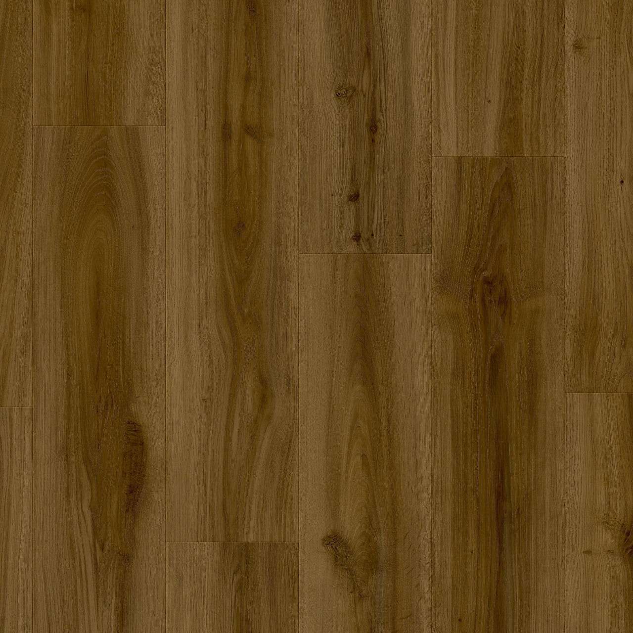 Moduleo LayRed Woods Silent Rigid Click (24881)