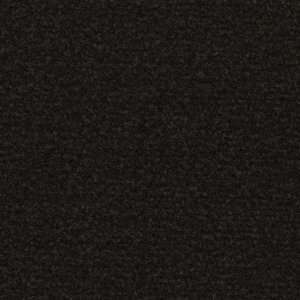Coral Classic Warm Black 4740