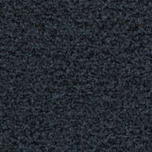 Coral Brush Glacier Blue 5232