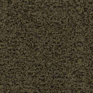 Coral Brush Olive Green 5284