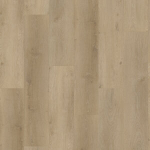 Gelasta Country Dryback